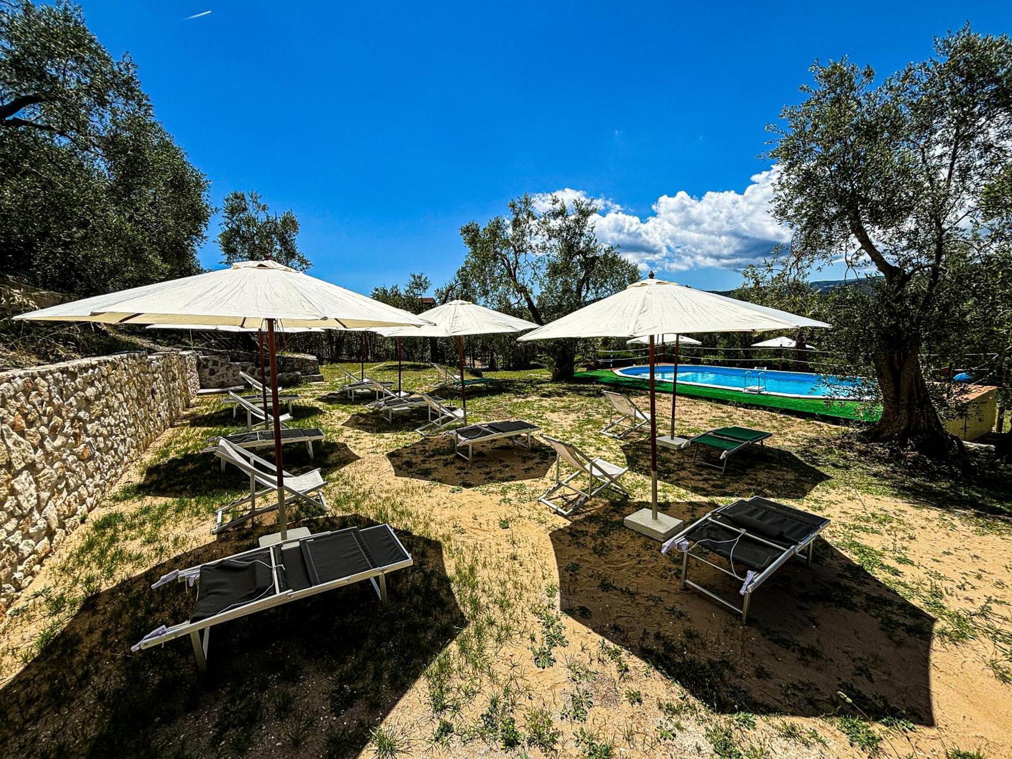 Valle Degli Ulivi B&B Vieste Exteriér fotografie